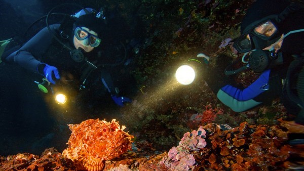 Especialidad Buceo Nocturno