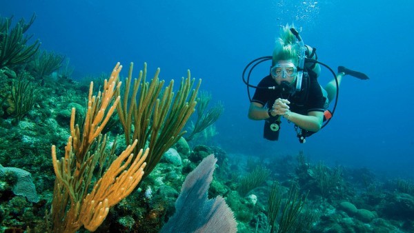 Buceo Open water Diver