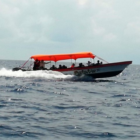 Summer Blue Adventure